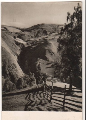 CPIB 15952 CARTE POSTALA - MUNTII APUSENI. VALEA RUNCULUI, RPR foto