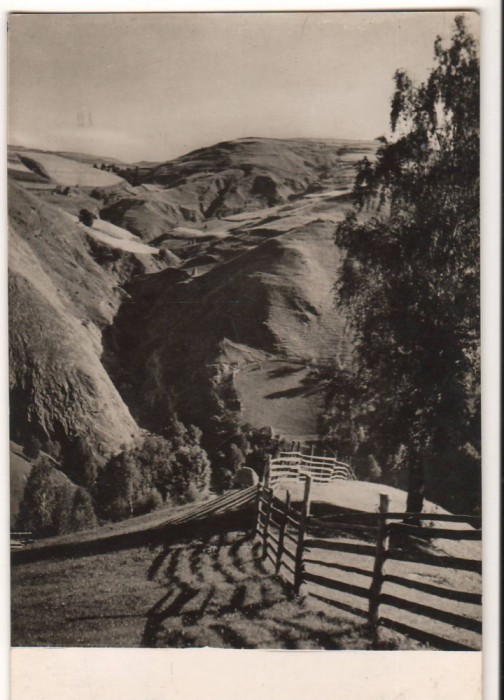 CPIB 15952 CARTE POSTALA - MUNTII APUSENI. VALEA RUNCULUI, RPR