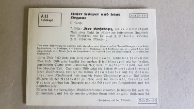 C859-I-9 Diapozitive vechi Deutches Reich Germania color anii 1930-Corpul uman. foto