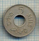 12190 MONEDA -PALESTINA - 5 MILS -ANUL 1946 -STAREA CARE SE VEDE, America Centrala si de Sud