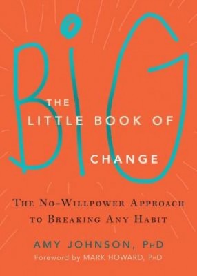 The Little Book of Big Change: The No-Willpower Approach to Breaking Any Habit foto