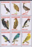 Timbre din Suriname cu păsări din toată lumea