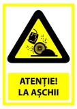 Indicator pentru aschii