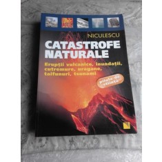 CATASTROFE NATURALE - VITTORIO RIODA