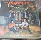 Cumpara ieftin Vinil 1 Vinyl Electrecord Savoi Apa trece pitrele raman