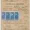 Romania, Primaria comunei, Certificat de nationalitate, Jebel, 1929