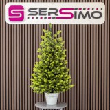 Brad artificial Christmas Deluxe by Sersimo, Viena Elite Spring in ghiveci, 3D, 110 cm Household NewTrend