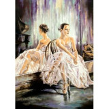 Cumpara ieftin Tablou canvas Balerina, oglinda, pictura, 40 x 60 cm