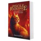Cumpara ieftin Puterea Tunetului. Seria Zorii clanurilor. Volumul 26/Erin Hunter