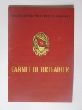 Carnet de Brigadier din anii 50, Romania de la 1950, Pasapoarte