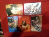 5 Ilustrate Romania Fauna - Pisici