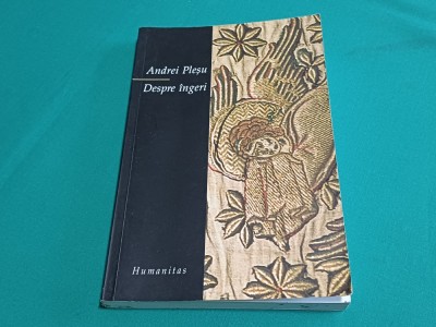 DESPRE &amp;Icirc;NGERI * ANDREI PLEȘU * 2003 * 3 3 4 foto