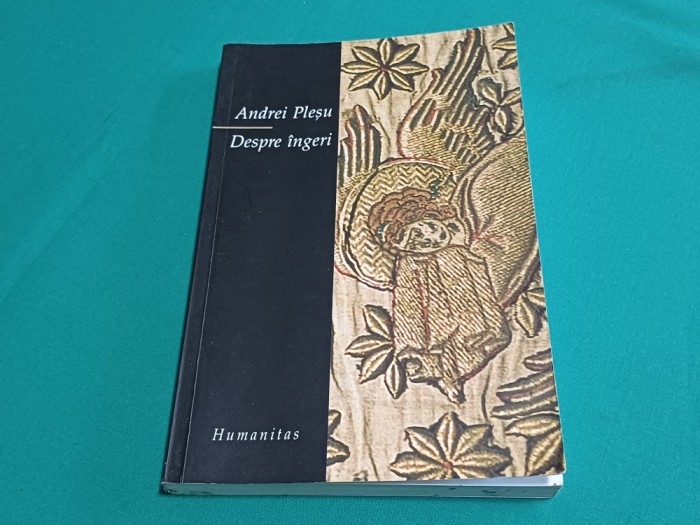 DESPRE &Icirc;NGERI * ANDREI PLEȘU * 2003 * 3 3 4