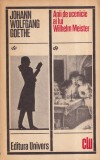 Johann Wolfgang Goethe - Anii de ucenicie ai lui Wilhelm Meister, Roman Beletristica, Brosata, Stare Buna, 1972