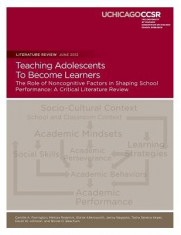 Teaching Adolescents to Become Learners the Role of Noncognitive Factors in Shaping School Performance: A Critical Literature Review foto