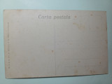 CARTE POSTALA INTERBELICA CRUCISETORUL ELISABETA., Necirculata, Printata, TEIFOC