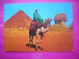 HOPCT 10997 SFINXUL SI PIAMIDA KEOPS DIN GIZA-EGIPT --CHINA-COSTUME TRADITIONALE-AFRICA-CIRCULATA