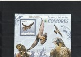 Fauna ,vulturi,Comore.