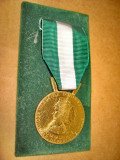B464-I-Medalia de Onoare Franta alama aurita.
