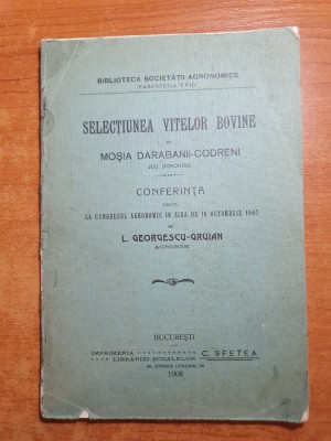 selectiunea vitelor bovine - mosia darabani codreni dorohoi - din anul 1908 foto