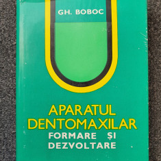 APARATUL DENTOMAXILAR. Formare si dezvoltare - Gh. Boboc