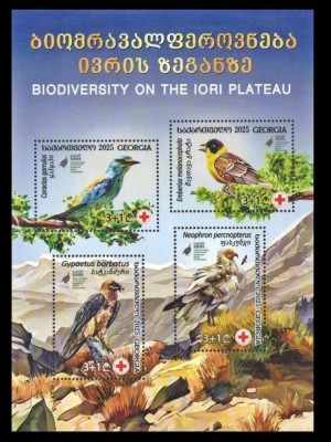 GEORGIA 2025 FAUNA PASARI foto