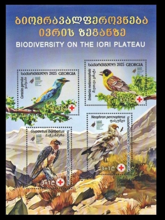 GEORGIA 2025 FAUNA PASARI