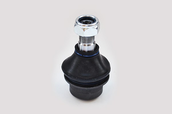 Pivot Suspensie 48642 NGH 01.05.043