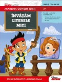 &Icirc;nvățăm literele mici - Paperback brosat - Litera