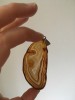 Pandantiv Agat Geoda Felie 7x3cm, Vintage, Margine Electroplacata - Cristal Natural