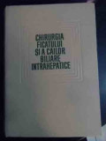 Chirurgia Ficatului Si A Cailor Biliare Intrahepatice - I.fagarasanu Carius Ionescu-bujor D.aloman E.albu ,540735, ACADEMIEI ROMANE