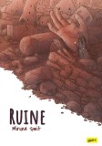 Cumpara ieftin Ruine - Miruna Șmit, Grafic