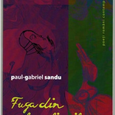 Fuga din sala oglinzilor | Paul-Gabriel Sandu