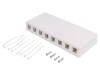 Soclu RJ45 Keystone Alb Murale Mamă, Logilink