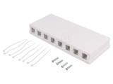 Soclu RJ45 Keystone Alb Murale Mamă, Logilink