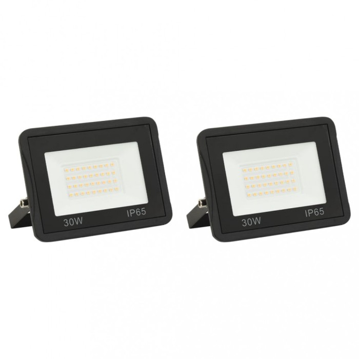 vidaXL Proiectoare cu LED, 30 W, 2 buc., alb cald