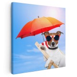 Tablou caine cu ochelari si umbrela plaja Tablou canvas pe panza CU RAMA 40x40 cm