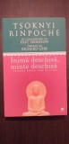 INIMA, DESCHISA MINTE DESCHISA - TREZIREA IUBIRII PURE DIN TINE TSOKNYI RINPOCHE