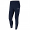 Pantaloni Nike Dri-Fit Academy Pants CW6122-451 albastru marin