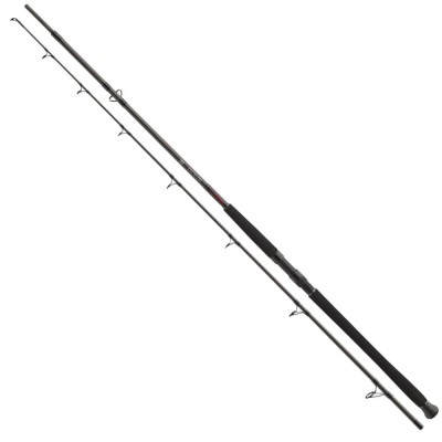 Lanseta Daiwa Exceler Catfish 3.30m, 200-600g, 2seg foto
