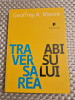 Traversarea abisului Geoffrey A. Moore