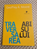 Traversarea abisului Geoffrey A. Moore