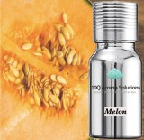 Esenta Nebulizare 10Q Aroma Summer Melon 10g - Ulei Esential Concentrat Profesional, Parfum Ambient Casa, Inspirat de Lux