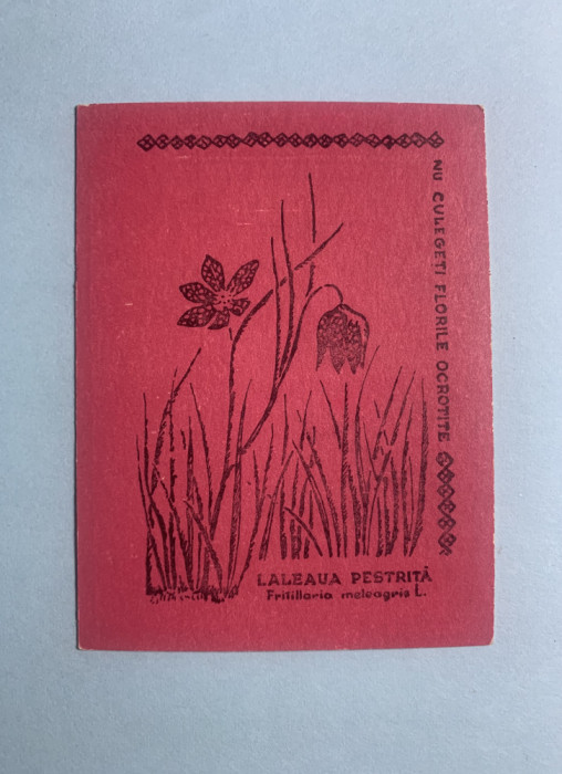 Calendar 1969 flori Laleaua Pestriță