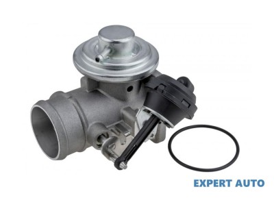 Supapa recirculare gaze Volkswagen LT 28-35 (1996-2006)[2DB,2DE,2DK] #1 foto