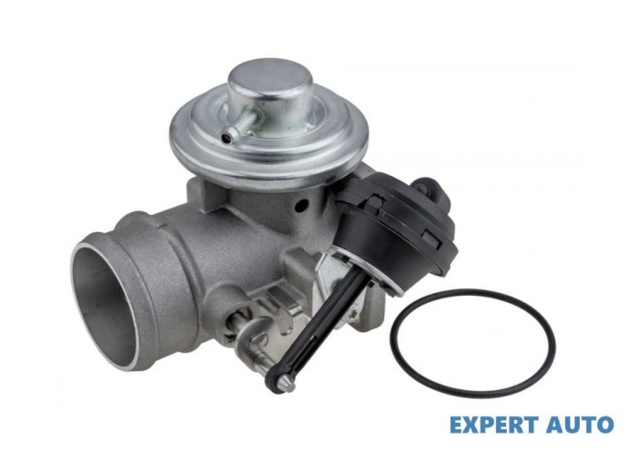 Supapa recirculare gaze Volkswagen LT 28-35 (1996-2006)[2DB,2DE,2DK] #1