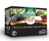 NATURAVIT FRUCTE PADURE&amp;MANGOSTAN FANTASY 2GR*15DZ
