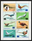 Coreea de Nord (DPR Korea) 1976 -Coliță / Bloc de 8 Timbre &bdquo;Ornitologie / Specii de Fazani (Phasianidae)&rdquo; Ștampilat - Cod: -SW13