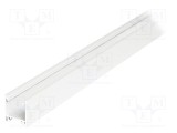 Profil aluminiu de suprafață pentru module LED, alb, 2m TOPMET LINEA20