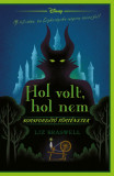 Disney - Hol volt, hol nem - Sorsford&iacute;t&oacute; t&ouml;rt&eacute;netek - Liz Braswell